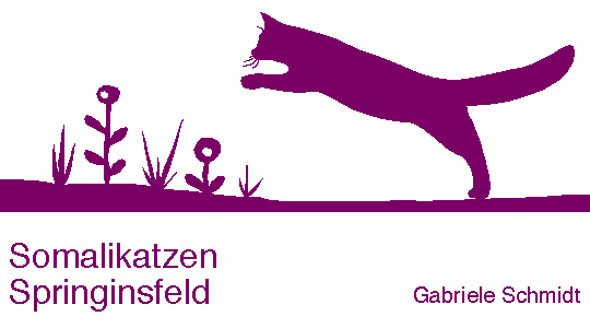 Springinsfeld Logo