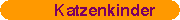 Katzenkinder